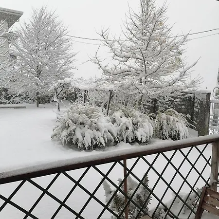 Casa Aurea 아파트 보시코